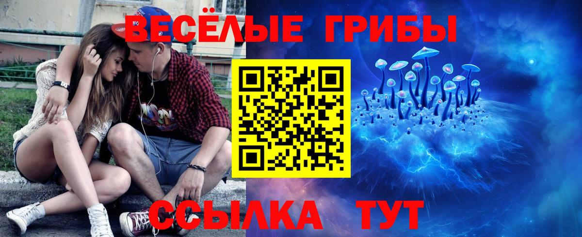 Галлюциногенные грибы Psilocybe  Галлюциногенные грибы Psilocybine cubensis  Вход с VPN  Алапаевск 