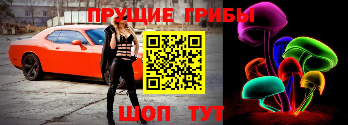 Галлюциногенные грибы Psilocybine cubensis Алапаевск